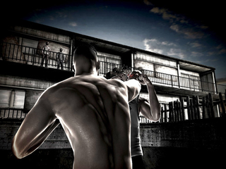 Illustration for article titled First Screens of PlayStation Move's "Motion Fighter"